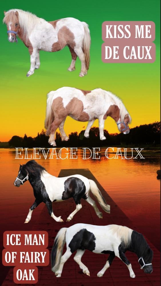 NESQUICK II DE CAUX