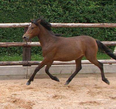 QUIRIADE TOURNERIE